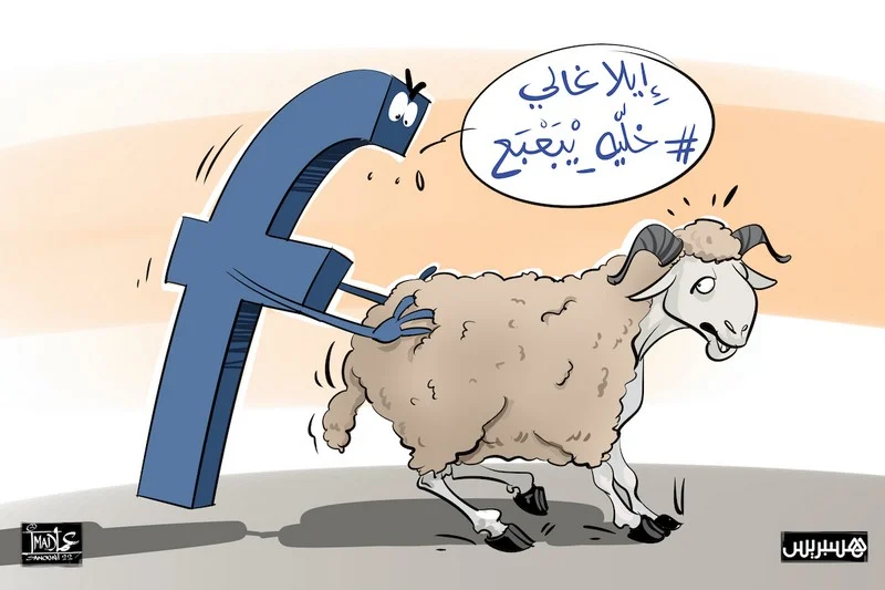 קמפיין מרוקאי ברשת שמעודד לא לקנות כבשים לחג הקורבן