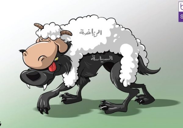 זאב בעור כבש